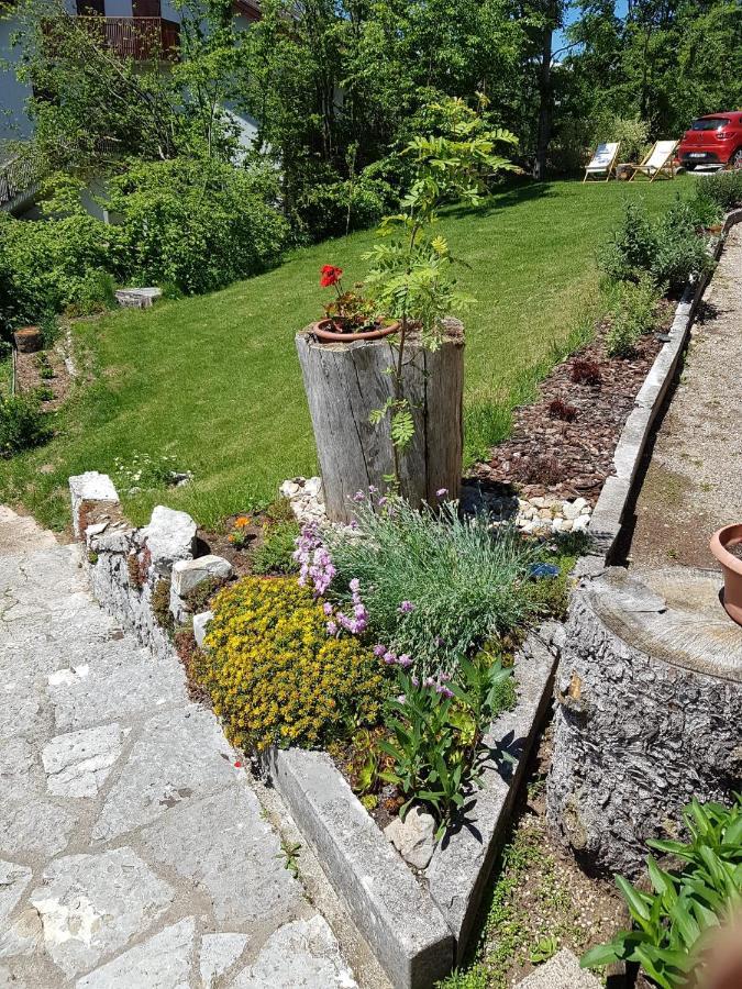 B&B I Faggi Lavarone Eksteriør bilde